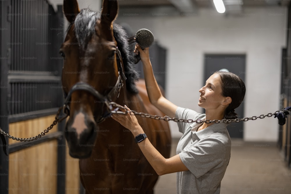 Female horseman combing mane of her brown Thoroughbred horse in stable. Concept of animal care. Rural rest and leisure. Idea of green tourism. Young smiling european woman wearing uniform