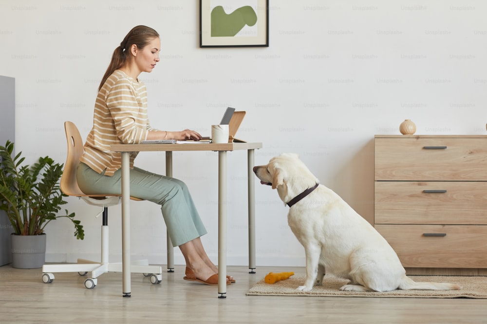 하얀 래브라도 개가 기다리고 있는 집 안의 책상에서 일하는 젊은 여성의 최소한의 초상화, 복사 공간