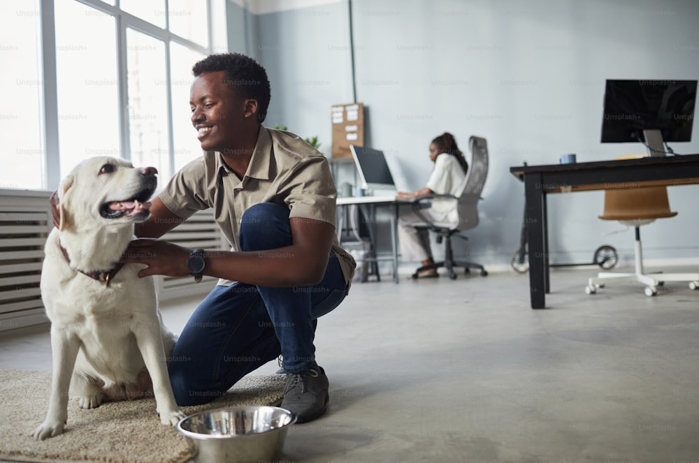Full length portrait of smiling African-American man petting dog while working in office, pet friendly workspace, copy space