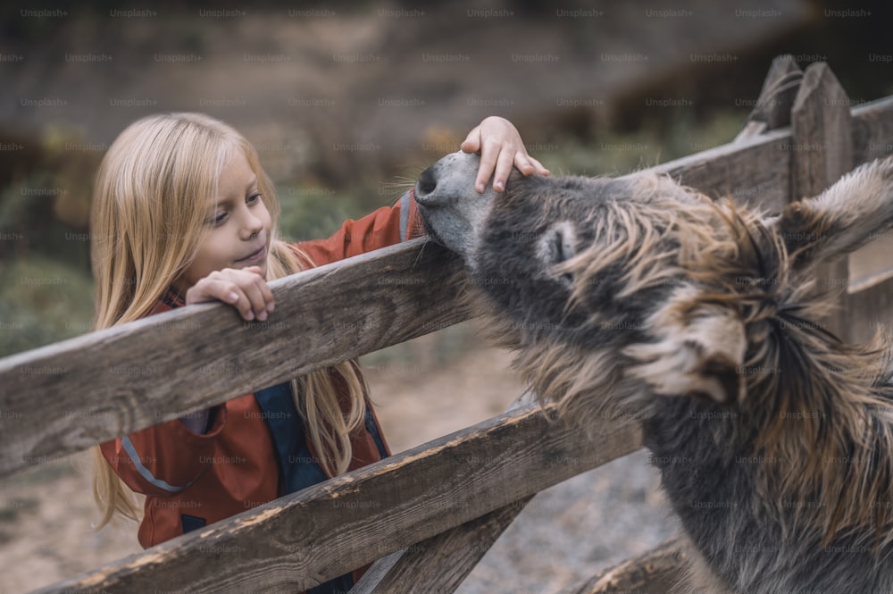 Animales y un niño. Una chica rubia parada cerca del corral de ganado con donkyes y sonriendo