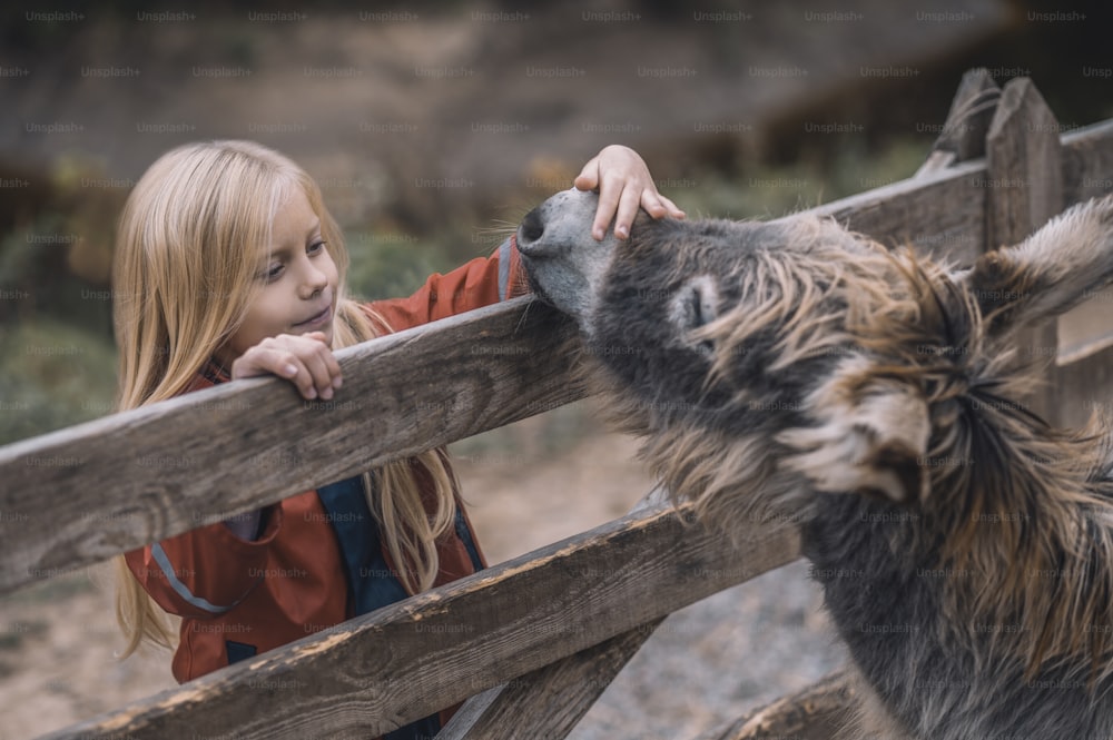 Animals and a a child. A blonde girl standing near the cattle-pen with donkyes and smiling