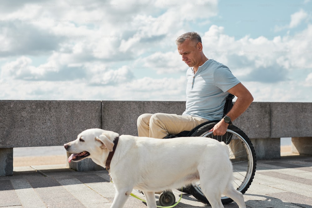 Vista laterale ritratto di uomo adulto in sedia a rotelle che gode all'aperto con cane bianco, spazio copia