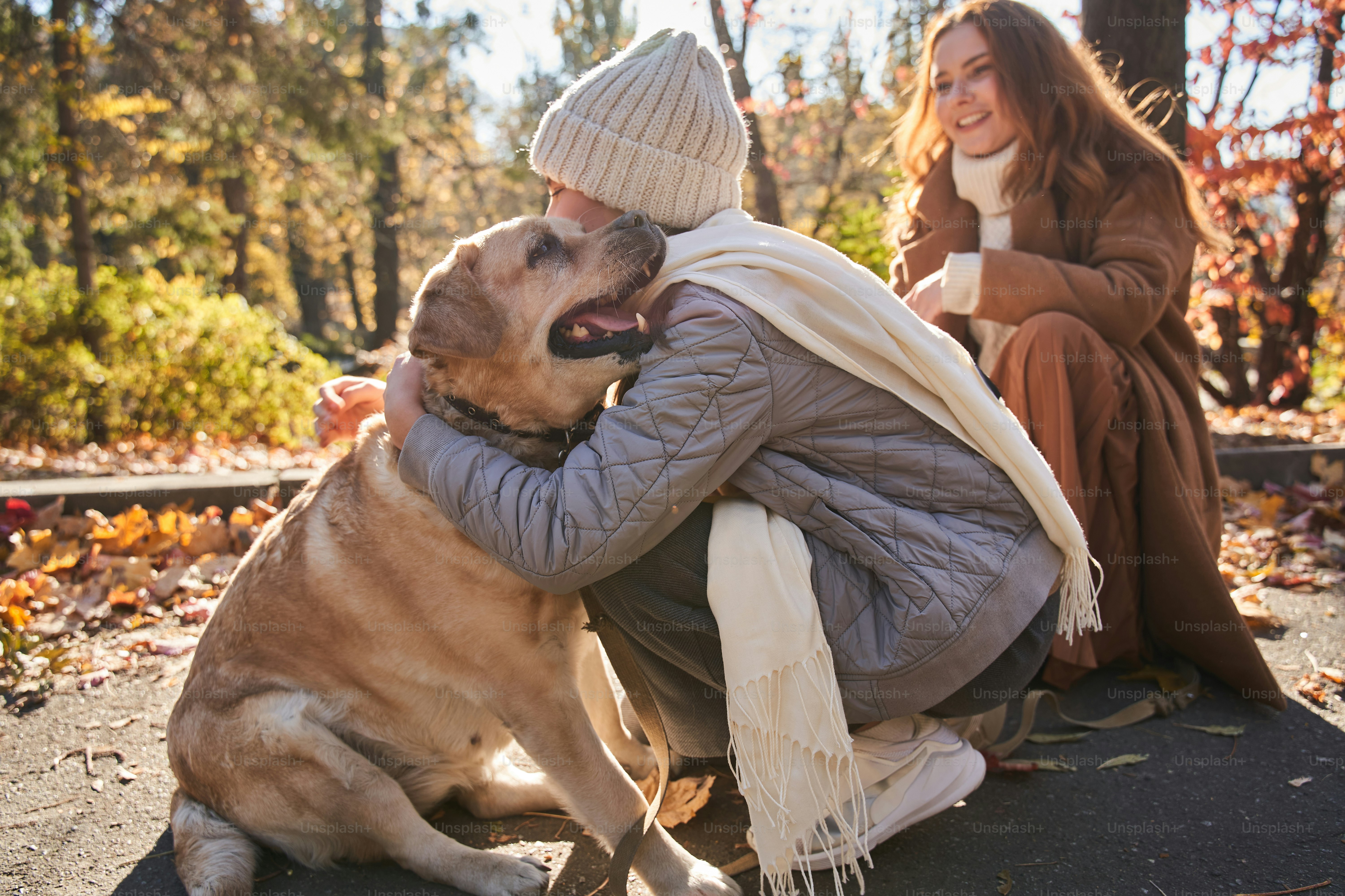 Vista completa da adolescente abraçando seu lindo cachorro enquanto está  sentada na floresta de outono com sua mãe. Conceito de crianças e animais  de estimação foto – Imagem sobre Mulher na Unsplash, image size:3000x2000