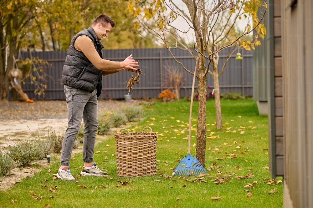 Leaves, basket. Smiling young adult man standing sideways to camera sprinkling leaves in wicker basket on green lawn in garden on autumn day