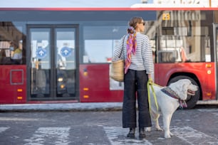 バス停で犬と一緒に立つ女性。ペットとの公共交通機関での旅行のコンセプト。イタリアンシェパード犬マレンマ