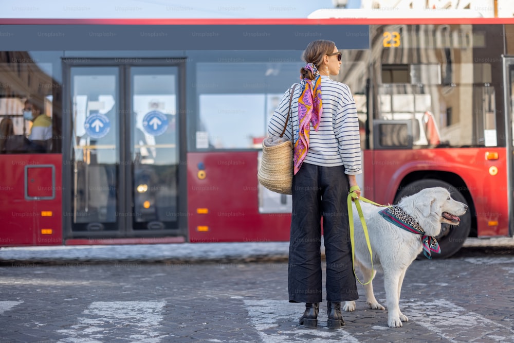 Frau steht mit einem Hund auf einer Bushaltestelle. Konzept des Reisens in öffentlichen Verkehrsmitteln mit Haustieren. Italienischer Schäferhund Maremma