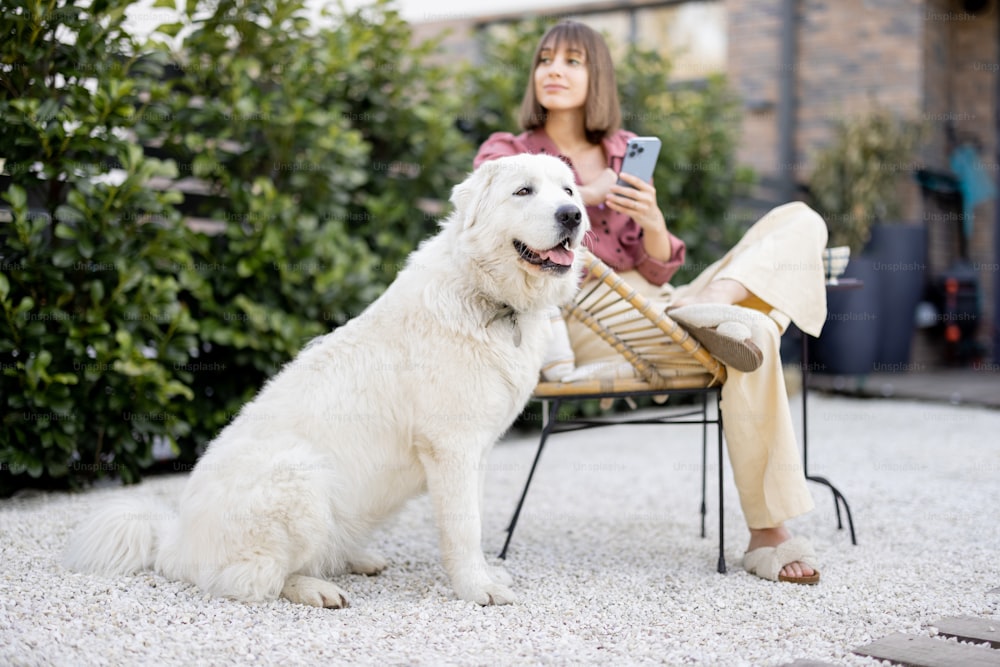 Young woman sitting relaxed with her huge white adorable dog, spending time together at backyard. Friendship with pet and happy leisure time outdoors concept