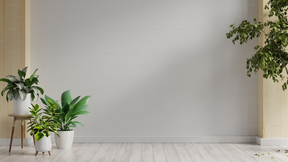 Camera con piante su un pavimento di legno in una stanza bianca vuota.3D rendering