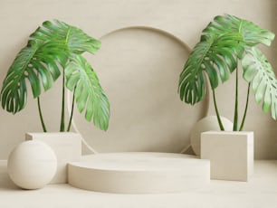 クリーム色の背景に製品を表示するための表彰台と植物.3dレンダリング