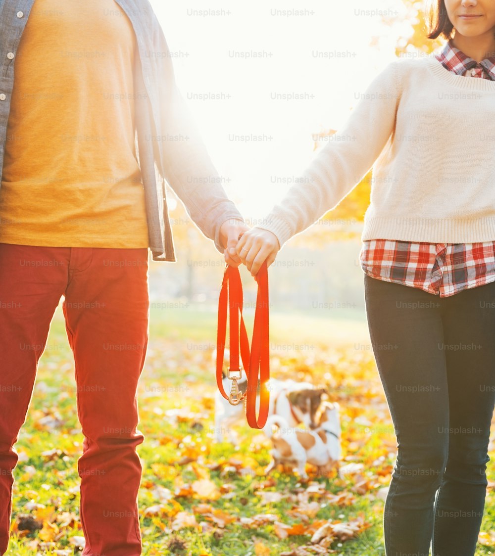 가을 공원에서 함께 목줄을 잡고 있는 젊은 커플의 클로즈업