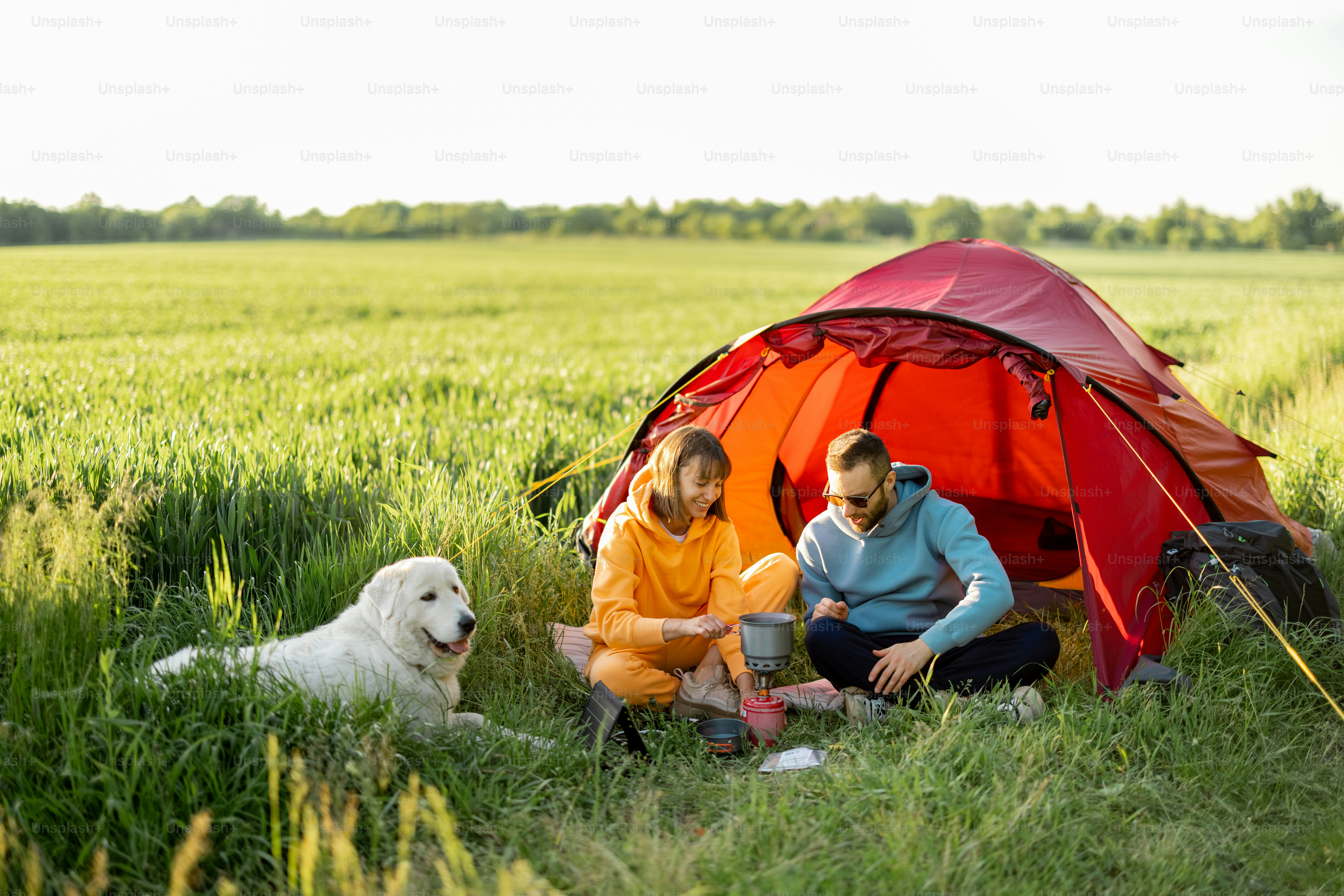 Young couple cooking food, spending summer time with a dog at campsite ...