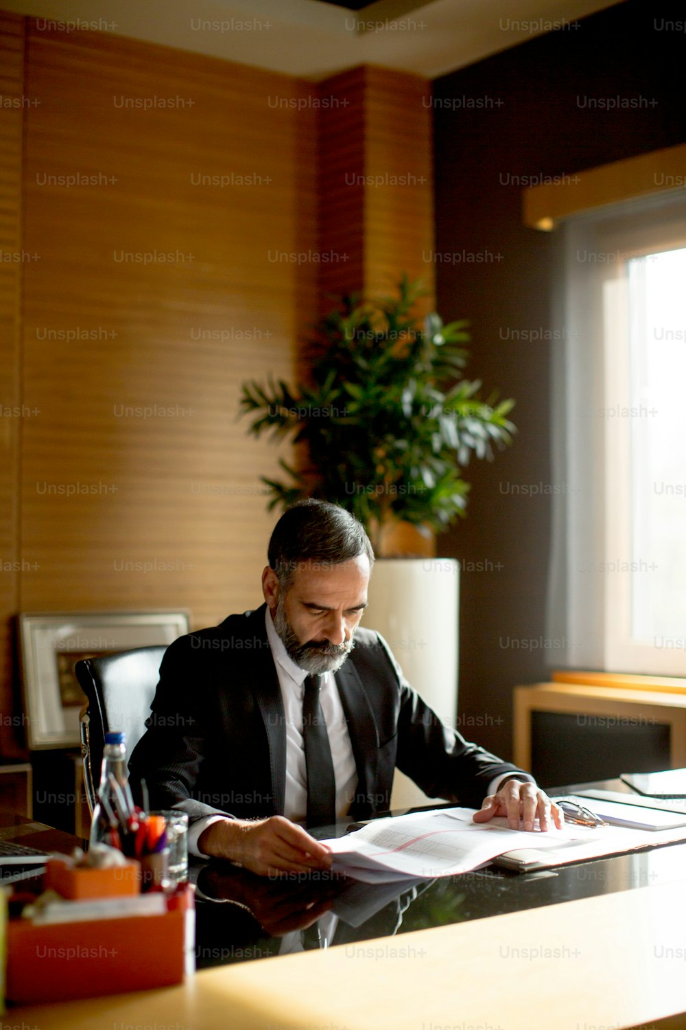Handsome middle-aged businessman  analyzing documents in modern office