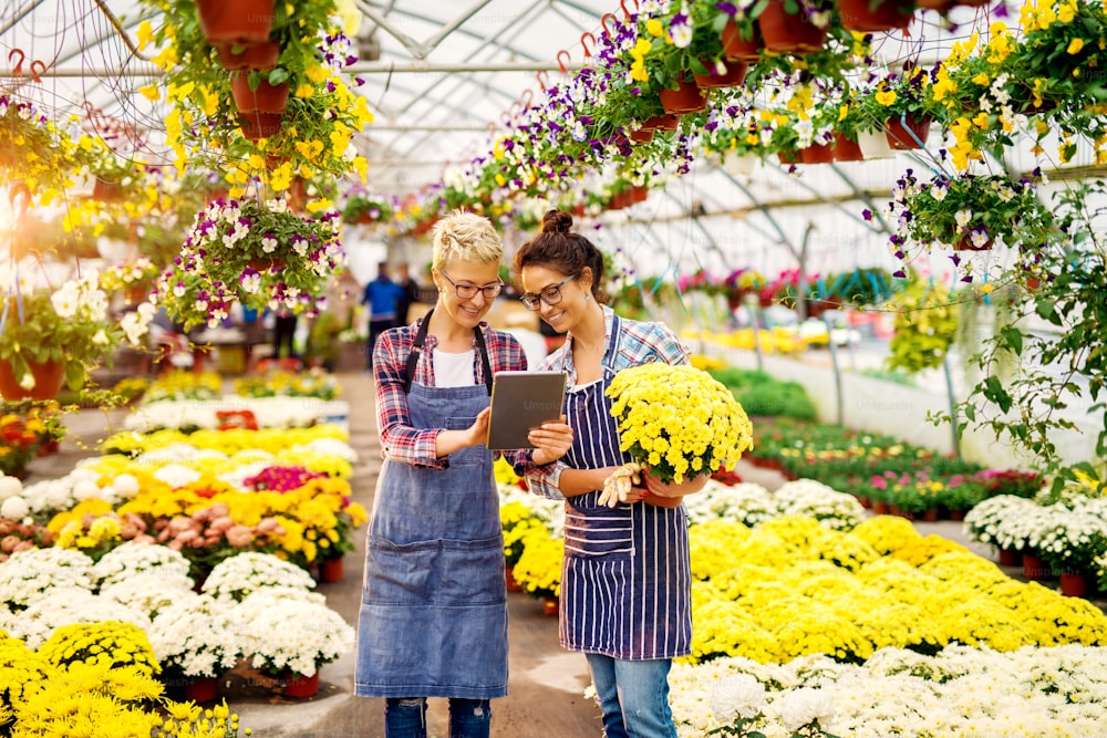 Two successful modern florist girls with eyeglasses and tablet in the greenhouse full of flowers and pots looking on their results.