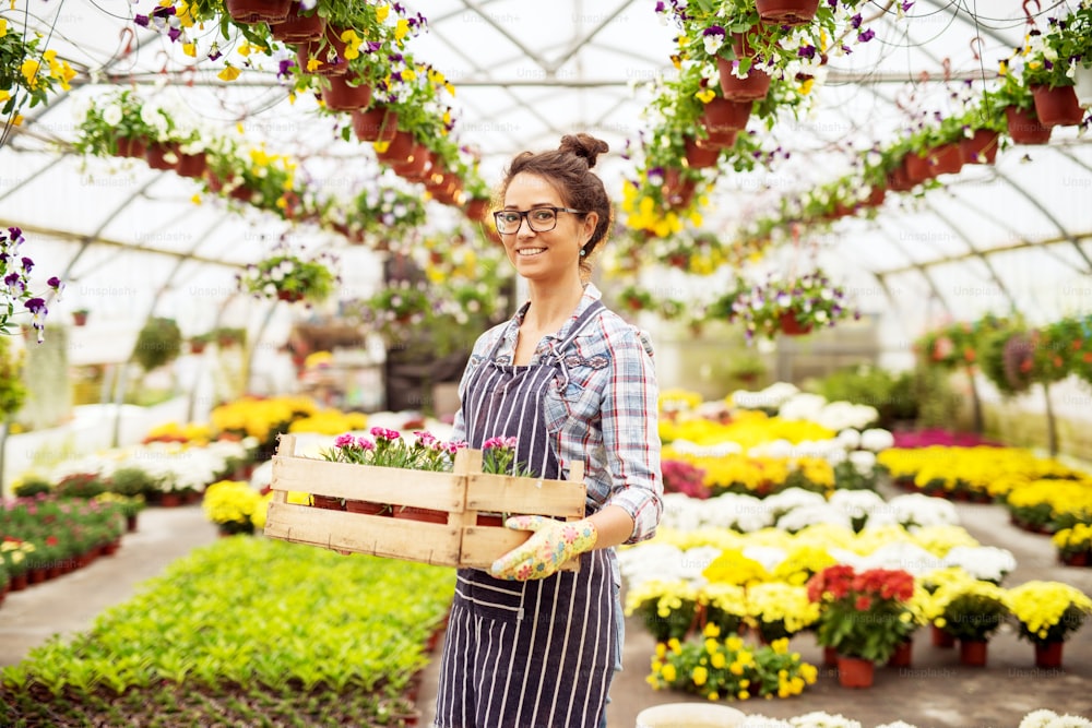 Beautiful middle age devoted florist woman holding the wooden box with flowers while standing in the big greenhouse.