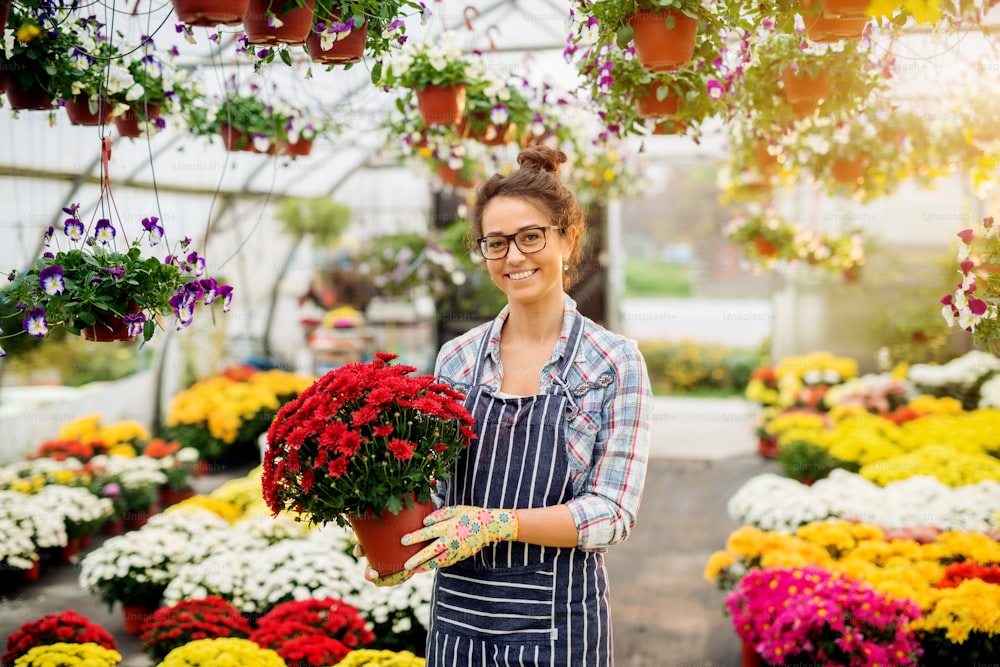 Attractive florist woman posing with a flowerpot in the colourful bright greenhouse.