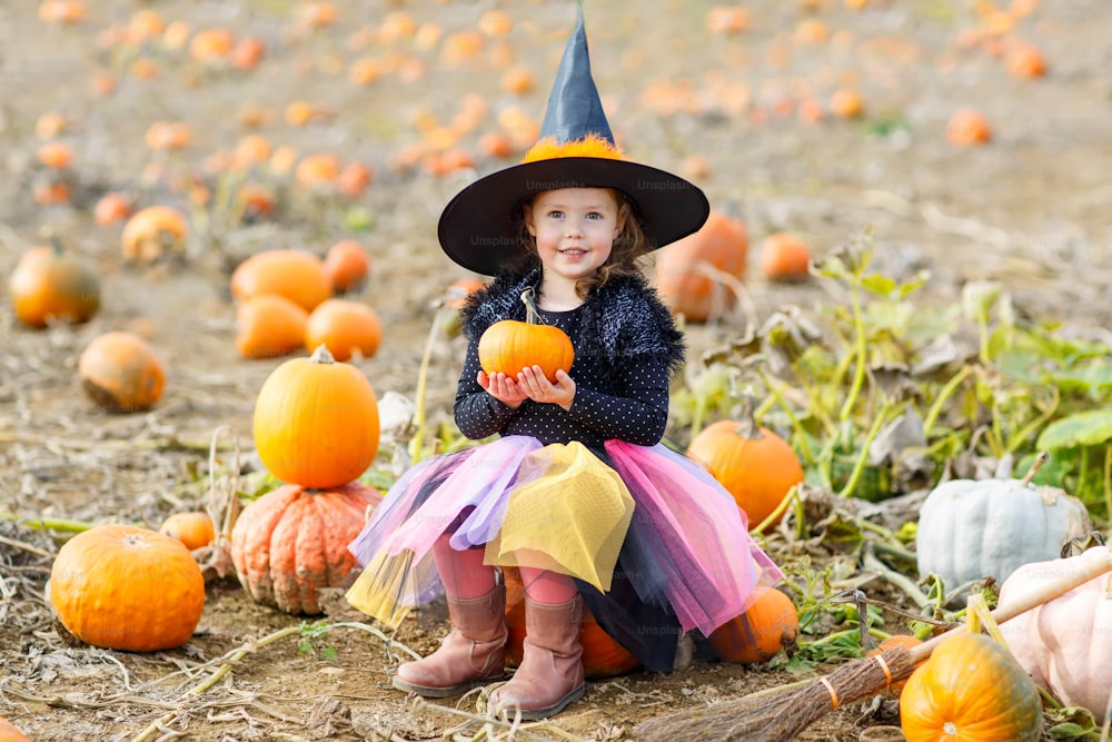 Adorable little girl of 3 years wearing halloween witch costume having fun on a pumpkin farm. Traditional family festival with children.