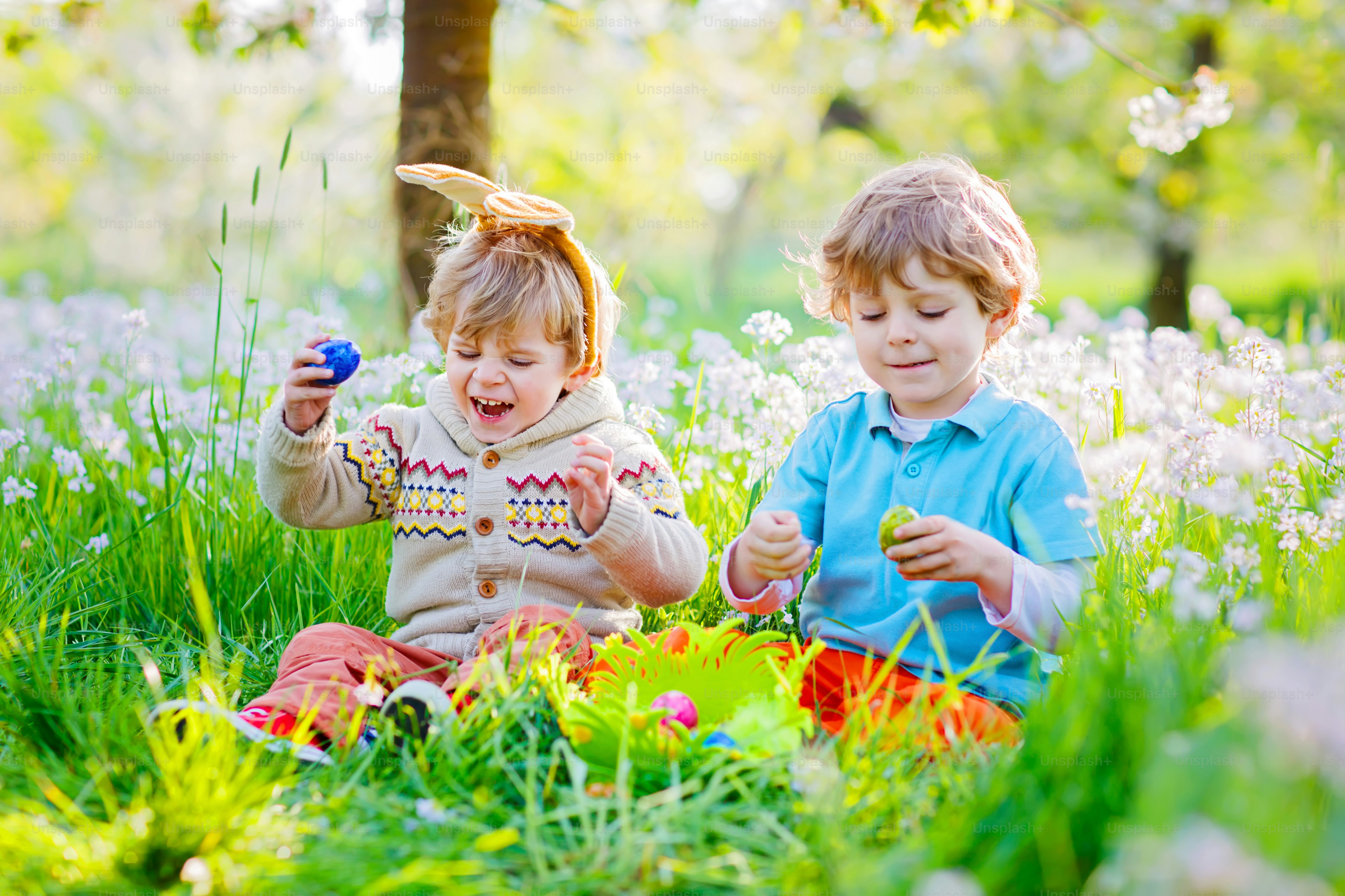 Two little kids boys and friends in Easter bunny ears during traditional egg hunt in spring garden, outdoors. Siblings having fun with finding colorful eggs. Old christian and catholoc tradition