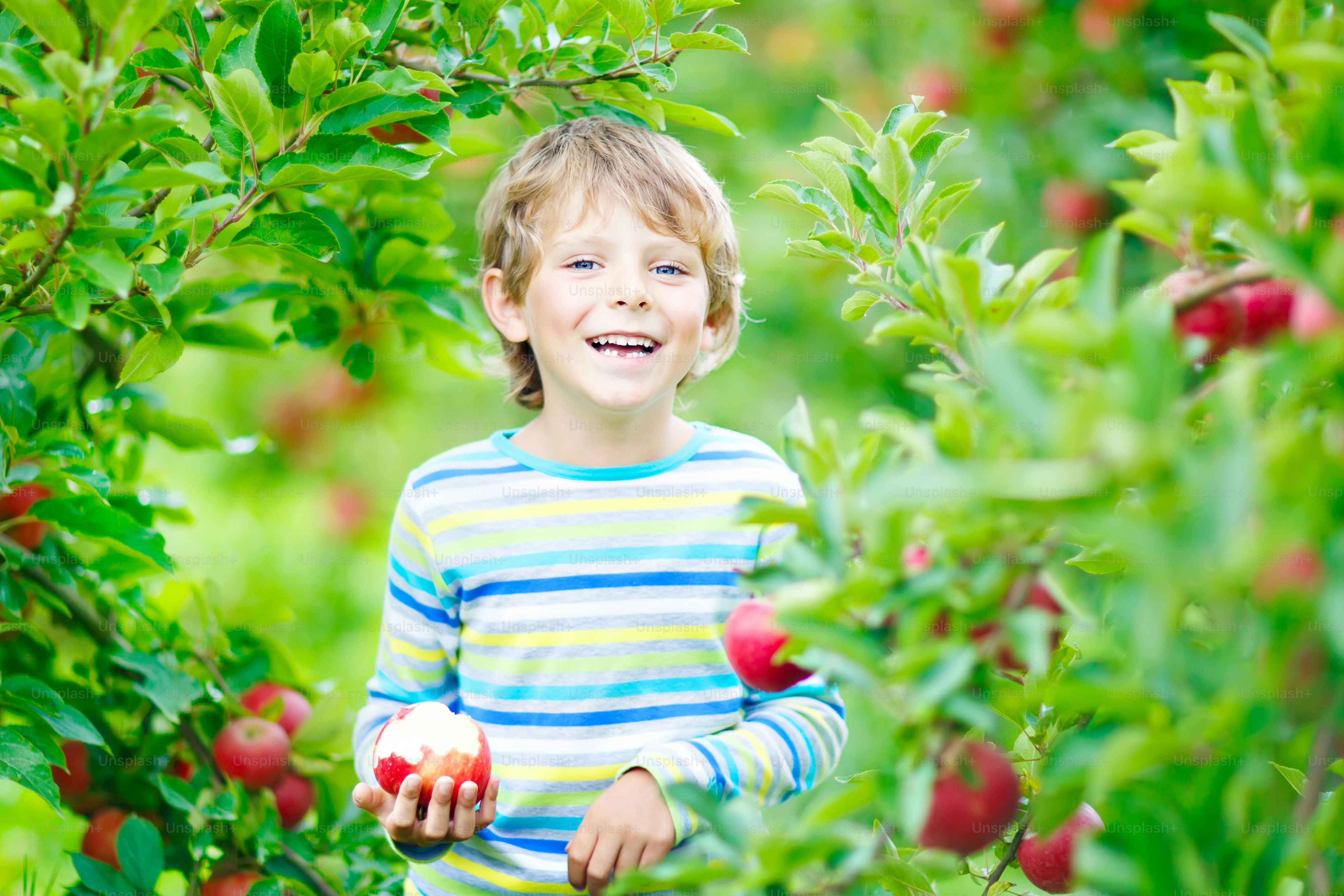 A smiling child in a striped shirt holding a bitten red apple in an orchard