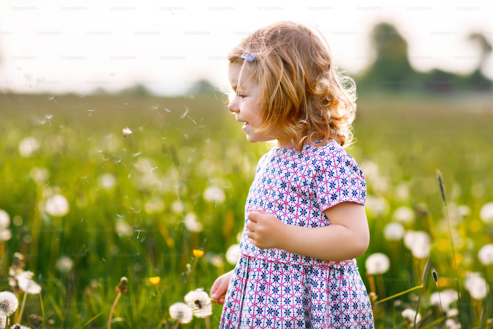 여름에 자연에서 민들레 꽃을 피우는 사랑스러운 귀여운 아기 소녀. 행복하고 건강한 아름 다운 아이 블로우볼과 재미 있게. 밝은 일몰 빛, 활동적인 아이