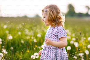 Adorable cute little baby girl blowing on a dandelion flower on the nature in the summer. Happy healthy beautiful toddler child with blowball, having fun. Bright sunset light, active kid