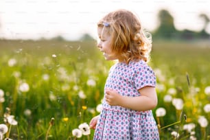 여름에 자연에서 민들레 꽃을 피우는 사랑스러운 귀여운 아기 소녀. 행복하고 건강한 아름 다운 아이 블로우볼과 재미 있게. 밝은 일몰 빛, 활동적인 아이