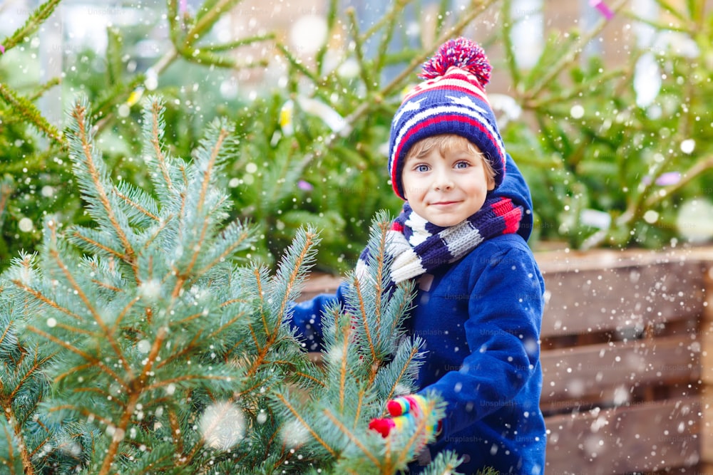 Funny little smiling kid boy holding christmas tree. Happy child in winter fashion clothes choosing and buying xmas tree in outdoor shop. Family, tradition, celebration