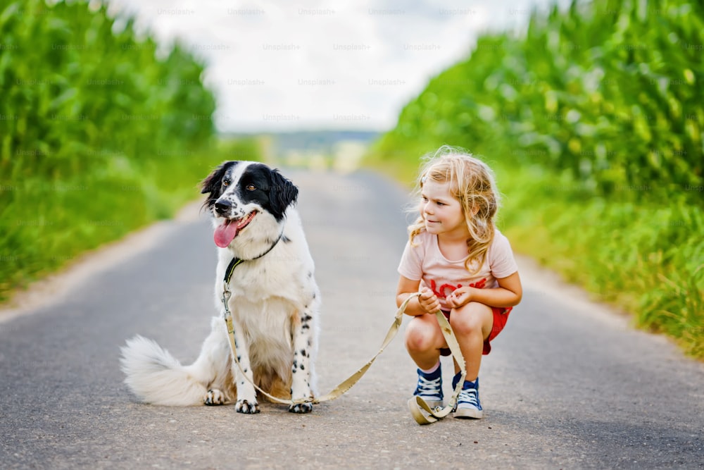 귀여운 미취학 아동이 자연 속에서 가족 개와 함께 산책을 하고 있다. 행복한 웃는 아이는 개와 함께 뛰고 포옹하며 즐거운 시간을 보내고 있다. 야외에서 행복한 가족. 동물과 아이들 사이의 우정과 사랑.
