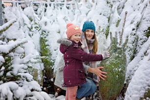 크리스마스 트리 시장에서 웃고 있는 귀여운 어린 소녀와 어머니. 겨울 옷을 입은 행복한 아이, 딸, 젊은 여성이 겨울 눈이 내리는 날에 불을 켜고 크리스마스 시장에서 크리스마스 트리를 선택한다