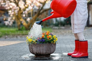 Closeup de criança pequena regando flores com lata. Menina pré-escolar com botas de chiclete vermelho. Primavera e verão, jardim, jardinagem, conceito de ajuda