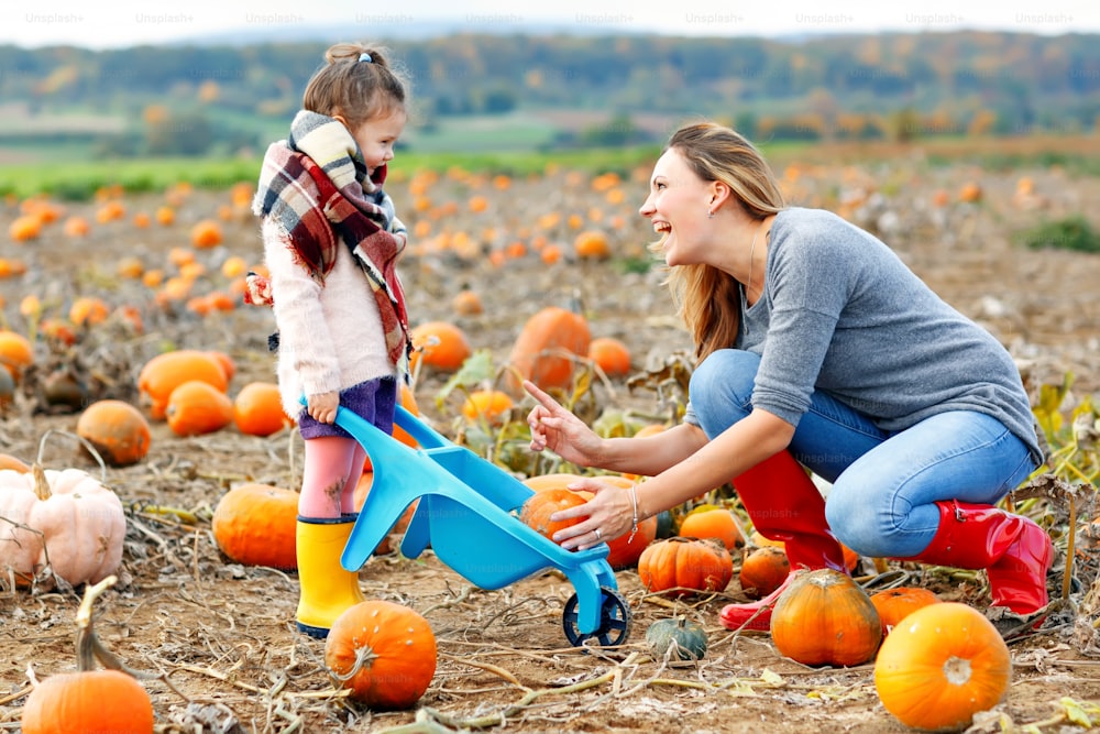 Little kid girl and beautiful mother having fun with farming on a pumpkin patch. Traditional family festival with children, thanksgiving and halloween concept. Cute farmers, woman with daughter