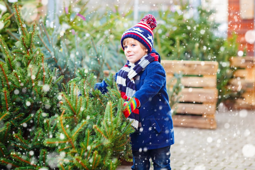 Funny little smiling kid boy holding christmas tree. Happy child in winter fashion clothes choosing and buying xmas tree in outdoor shop. Family, tradition, celebration