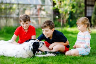 Two kids boys and little toddler girl playing with family dog in garden. Three children, adorable siblings having fun with dog. Happy family outdoors. Friendship between animal and kids.
