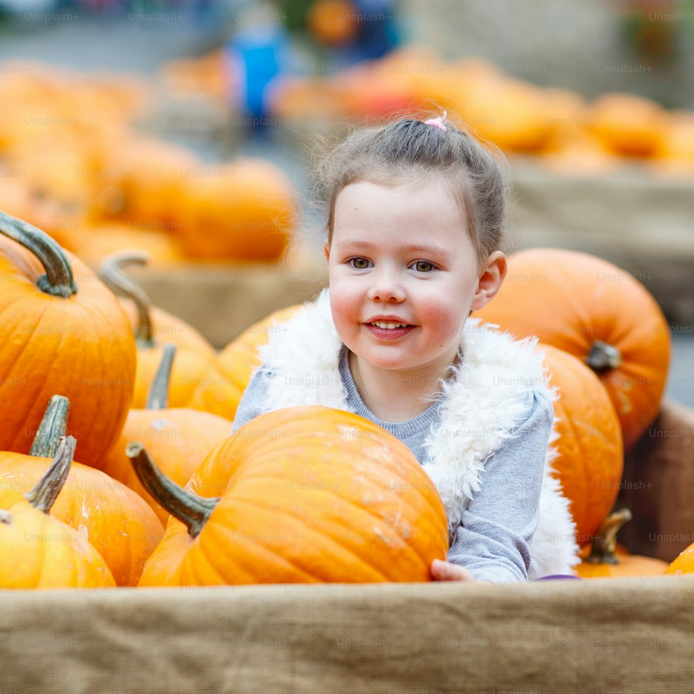 Schönes glückliches kleines kleines Mädchen auf einer Kürbisfarm mit riesigem Gemüse. Kind, das traditionelles Fest, Halloween oder Thanksgiving feiert.