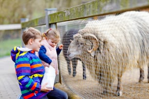 Dos niños lindos niños pequeños y niños de la escuela alimentando pequeñas cabras y ovejas en una granja para niños. Hermanos felices y sanos hermano y hermana acariciando animales en el zoológico. Emocionante fin de semana familiar
