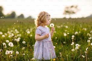 Adorable cute little baby girl blowing on a dandelion flower on the nature in the summer. Happy healthy beautiful toddler child with blowball, having fun. Bright sunset light, active kid