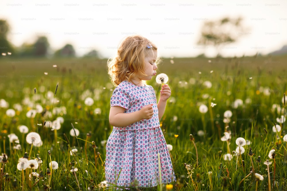 Adorável menina bebê bonito soprando em uma flor de dente-de-leão na natureza no verão. Criança bonita saudável feliz com blowball, se divertindo. Luz brilhante do pôr do sol, criança ativa