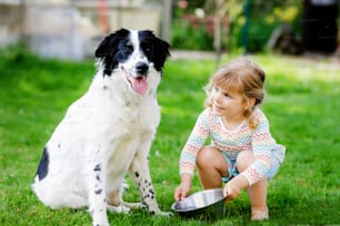 Linda niña jugando con el perro de la familia en el jardín. Niño sonriente feliz divirtiéndose con perro, abrazando jugando con pelota. Familia feliz al aire libre. Amistad entre animales y niños.