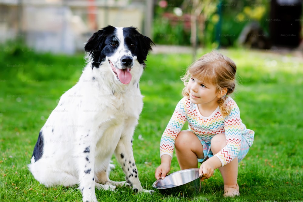 Cute little toddler girl playing with family dog in garden. Happy smiling child having fun with dog, hugging playing with ball. Happy family outdoors. Friendship between animal and kids.
