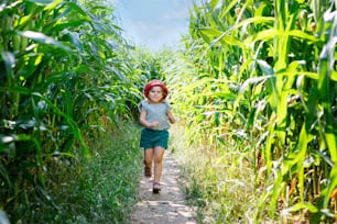 Piccola bambina felice che gioca sul campo del labirinto di mais nella fattoria biologica, all'aperto. Bambino divertente hild divertirsi con la corsa, l'agricoltura e il giardinaggio di ortaggi. Tempo libero attivo in famiglia in estate