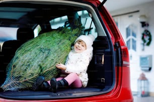 Adorable niña pequeña con árbol de Navidad dentro del coche familiar. Feliz bebé sano en ropa de moda de invierno eligiendo y comprando un gran árbol de Navidad para la celebración tradicional