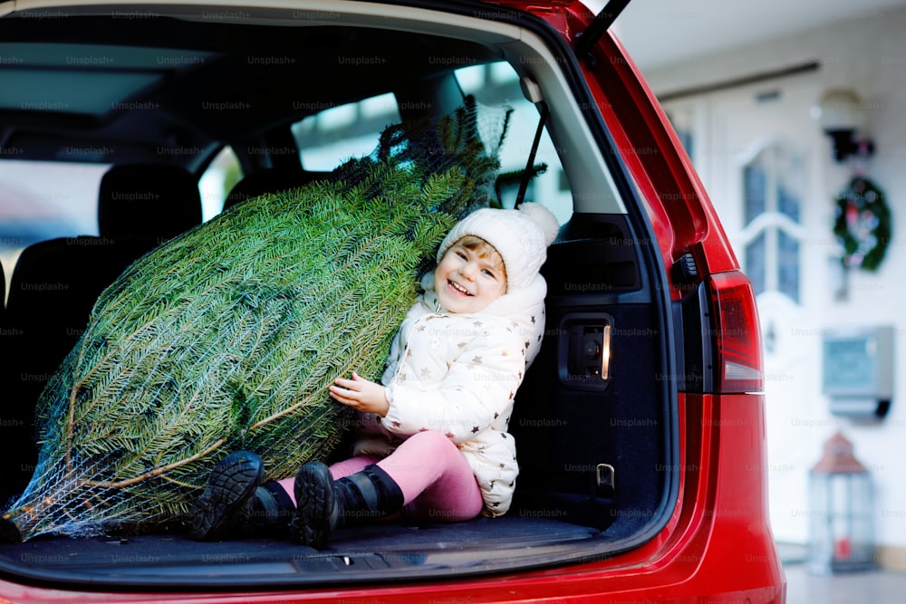 가족 차 안에 크리스마스 트리가 있는 사랑스러운 어린 소녀. 겨울 패션 옷을 입은 행복한 건강한 아기 아이는 전통 축하를 위해 큰 크리스마스 트리를 선택하고 구입합니다