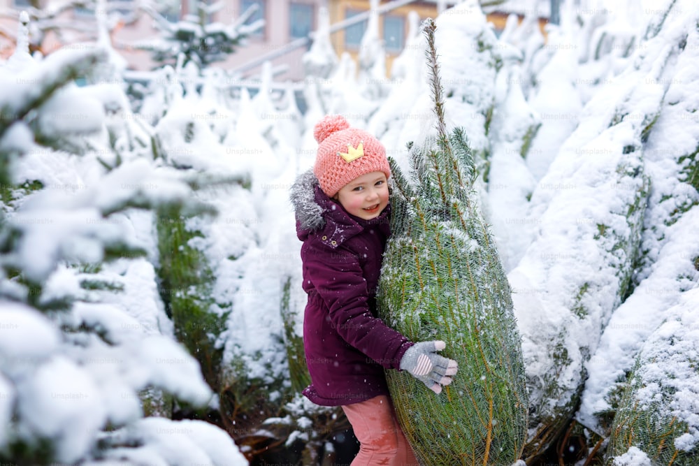 Cute little smiling kid girl shopping on christmas tree market. Happy child in winter clothes holding and choosing xmas tree on xmas market with lights on background on winter snow day