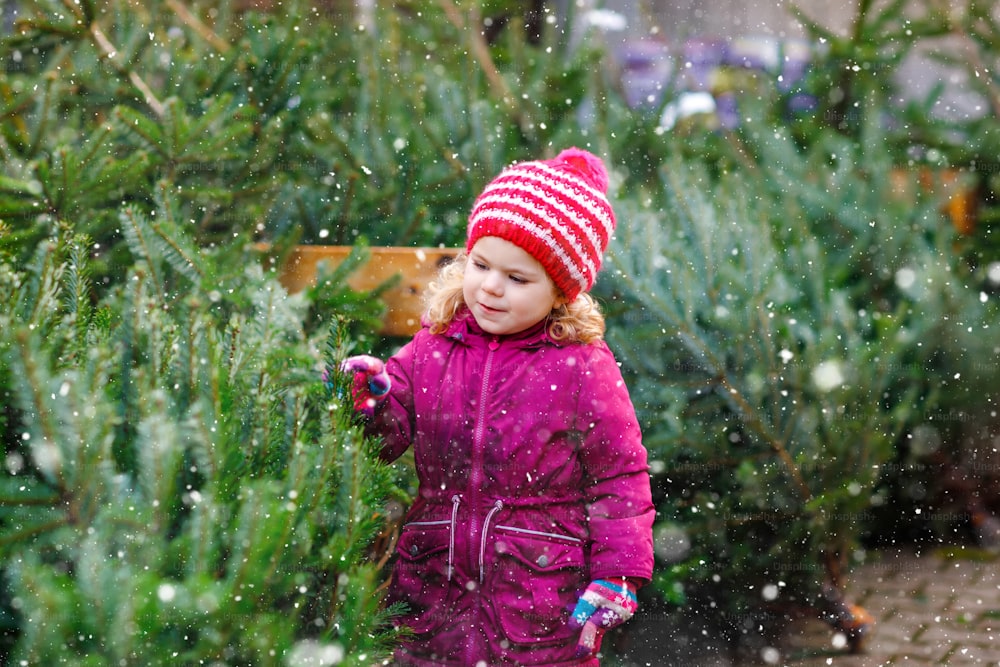 Adorable little toddler girl holding Christmas tree on market. Happy healthy baby child in winter fashion clothes choosing and buying big Xmas tree in outdoor shop. Family, tradition, celebration