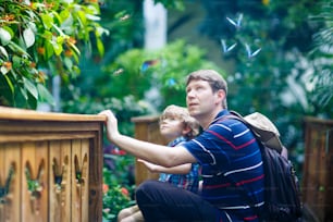 아버지와 미취학 아동은 식물원에서 꽃, 식물, 나비를 발견한다. 생물학에 관심이 있는 가족, 청년, 아들. 박물관에서 미취학 아동과 함께 활동적인 교육 여가.