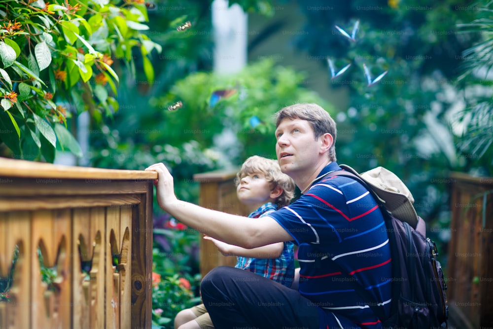 Father and preschool kid boy discovering flowers, plants and butterflies at botanic garden. Family, young man and son interested in biology. Active educational leisure with preschool child in museum.