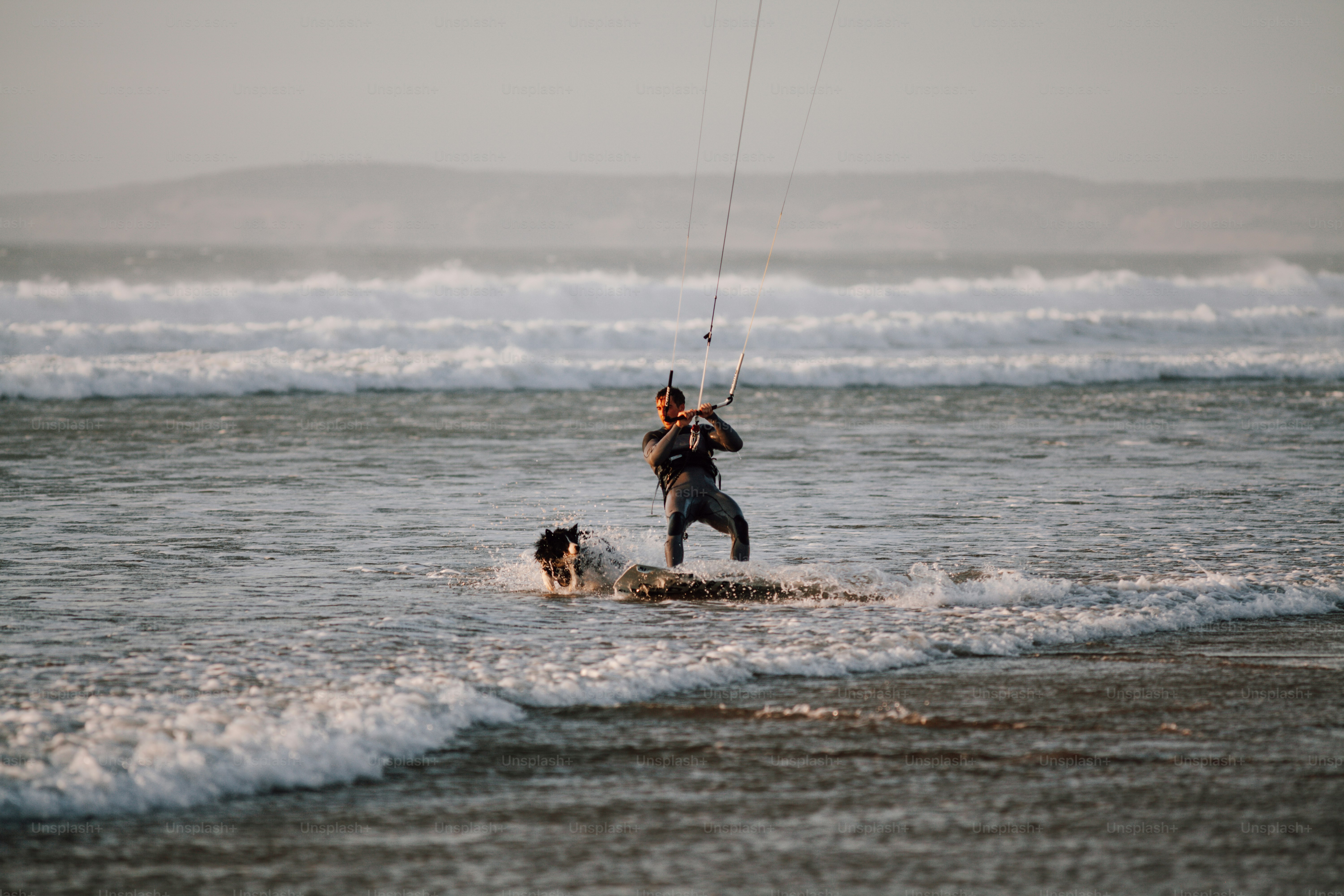 Un uomo para vela con un cane nell'oceano