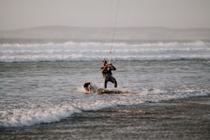 海で犬と一緒にセーリングする男パラ