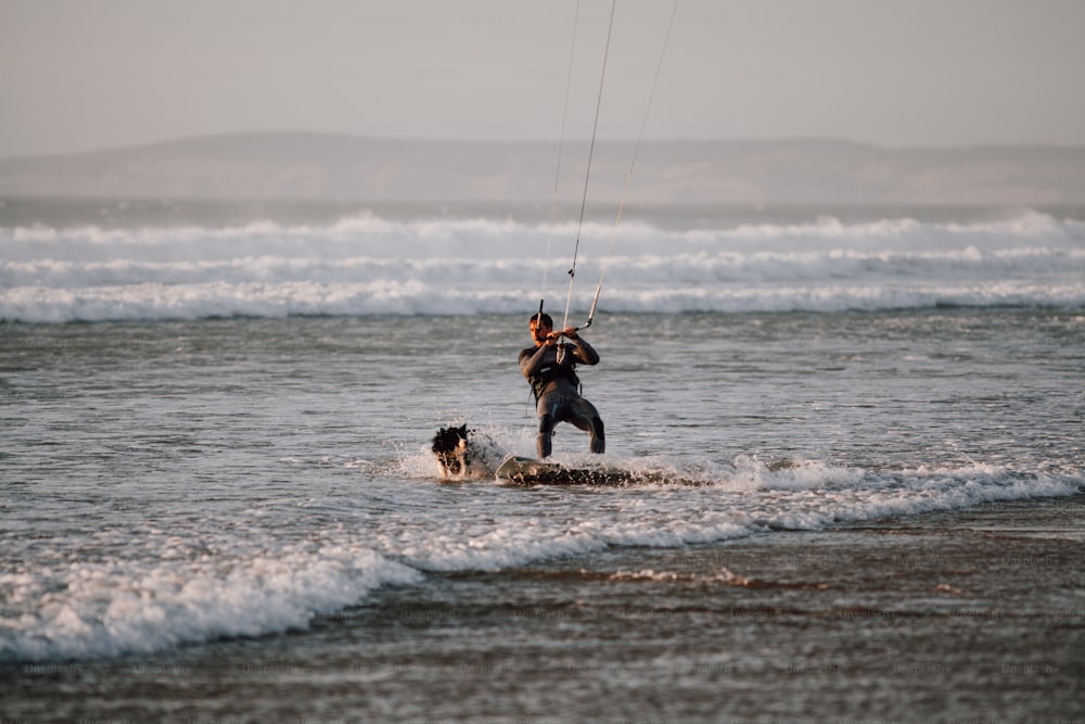 Un homme para naviguant avec un chien dans l’océan