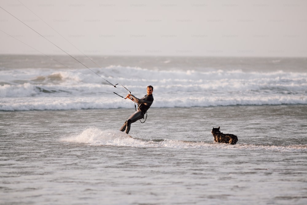 a man para sailing with a dog in the ocean