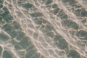 the water is reflecting the sunlight on the sand
